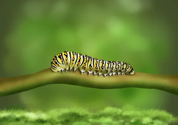 Caterpillar